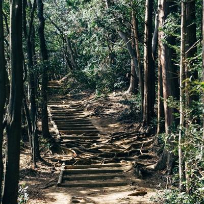 守护神域bt版下载