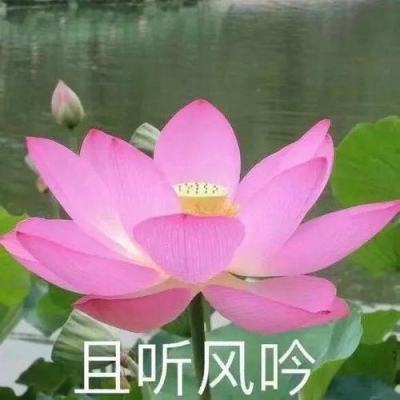大天使传奇手游(暂未上线)v1.0 安卓版
