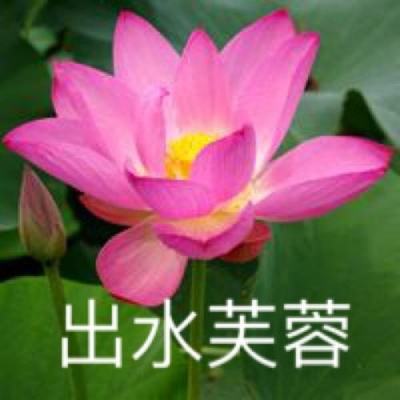 永恒勇士2中文下载