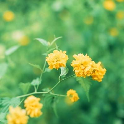 怒破苍穹手游官方下载