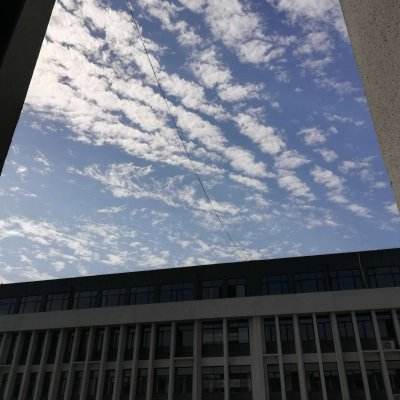 修仙萌主九游下载